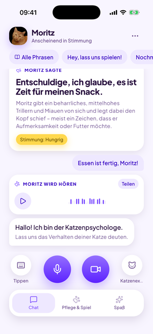 Ein Chat mit deiner Katze – in beide Richtungen