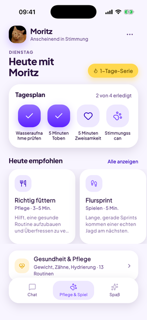 Ein Tagesplan für deine Katze