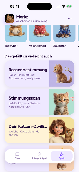 Rassenbestimmung, Stimmungsscan und Katzen-Zwilling