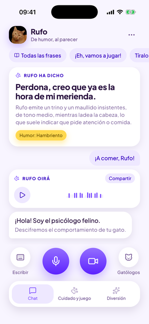 Un chat con tu gato, en los dos sentidos