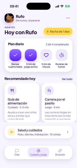 Un plan diario pensado para tu gato