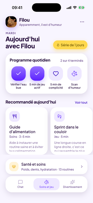 Un programme quotidien conçu pour votre chat