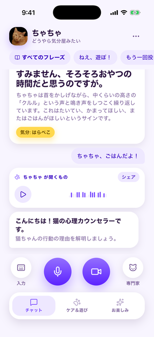 猫と双方向でチャット