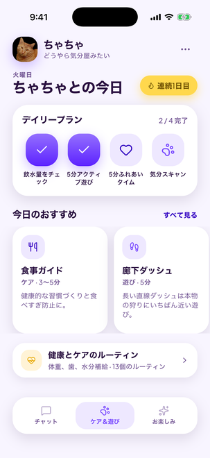 あなたの猫のためのデイリープラン