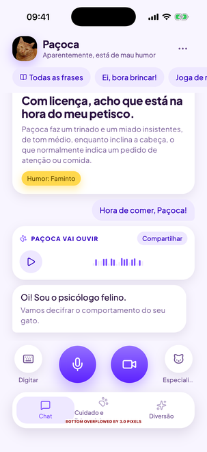Uma conversa de mão dupla com seu gato