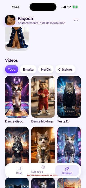 Seu gato como estrela de um vídeo