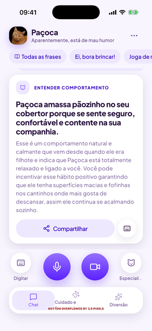 Dúvidas de comportamento e cuidados, respondidas