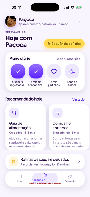 Um plano diário feito para o seu gato