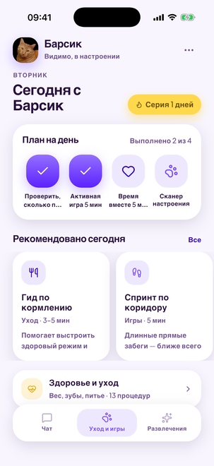 План на день для вашего кота