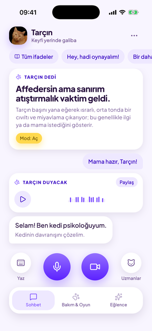 Kedinizle karşılıklı sohbet