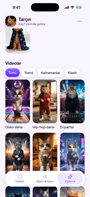 Videonun yıldızı kediniz